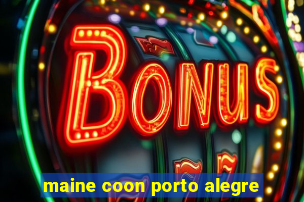 maine coon porto alegre